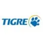 Tigre